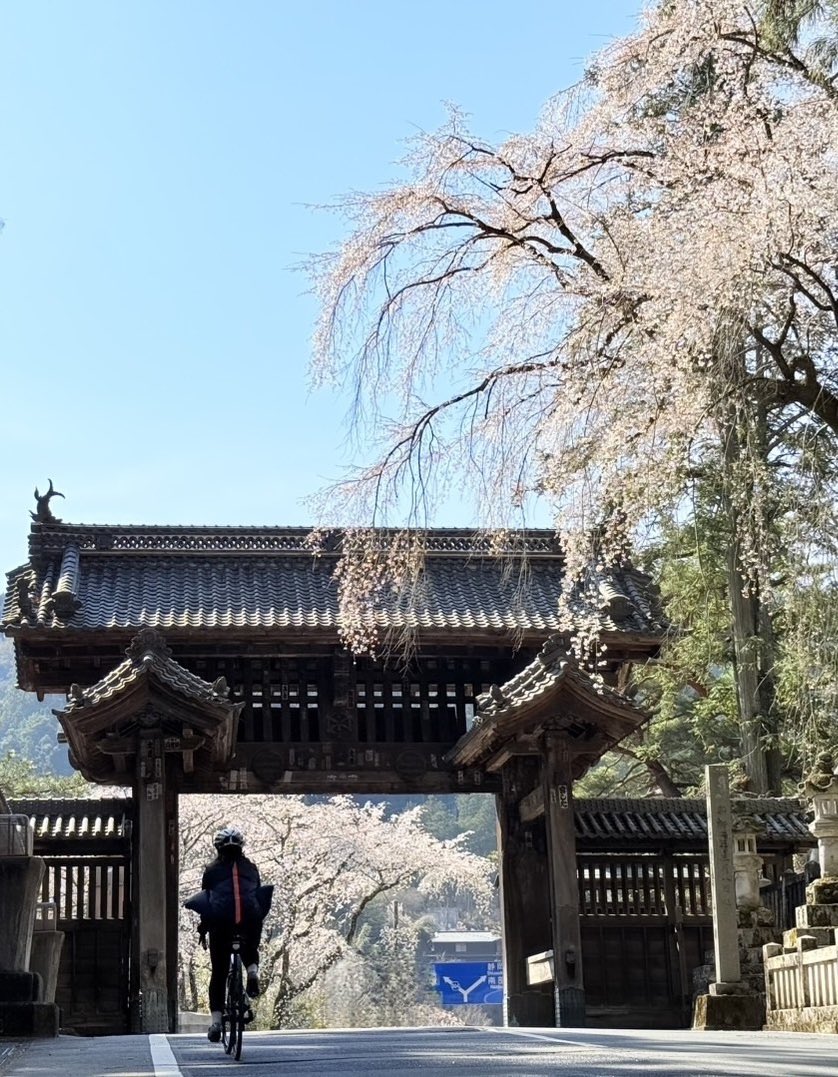 ペペネロ tweet media