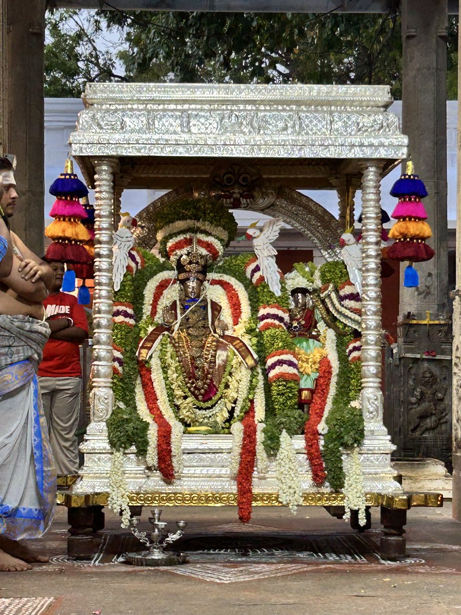 Ammai Appan today🥹🙏🏼

Karpagamba &amp; Kapaleeshwarar 🤩

#Mylapore #PanguniUtsavam2026