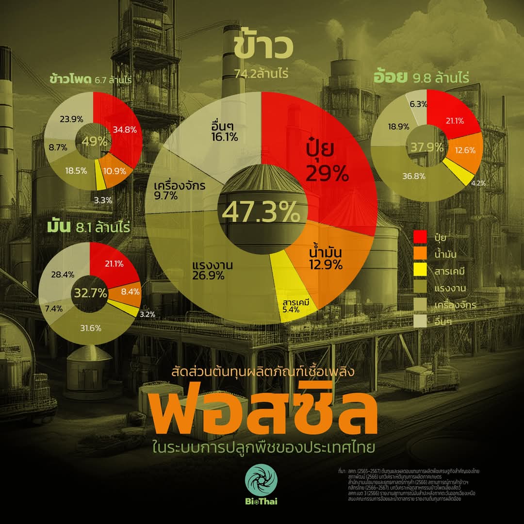 นิตยสารฉลาดซื้อ tweet media