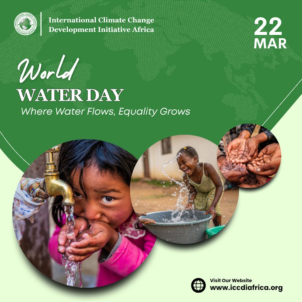 ICCDI AFRICA tweet media