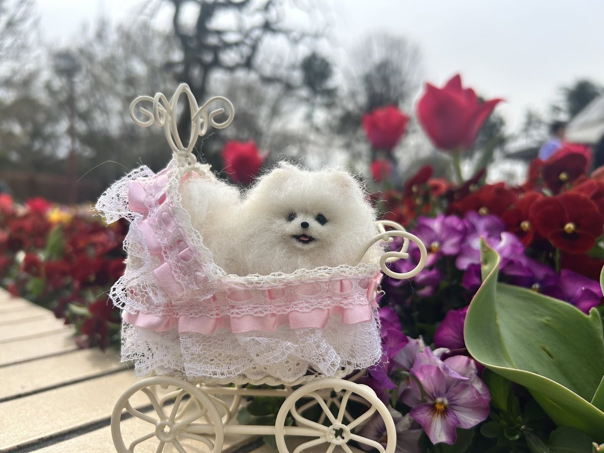 ちぇこ＠5/6（水）クリエイターズマーケットD234 tweet media