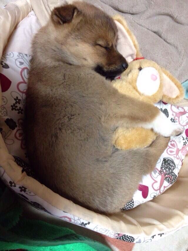 Poulet Sans Sauce 🍉 tweet media