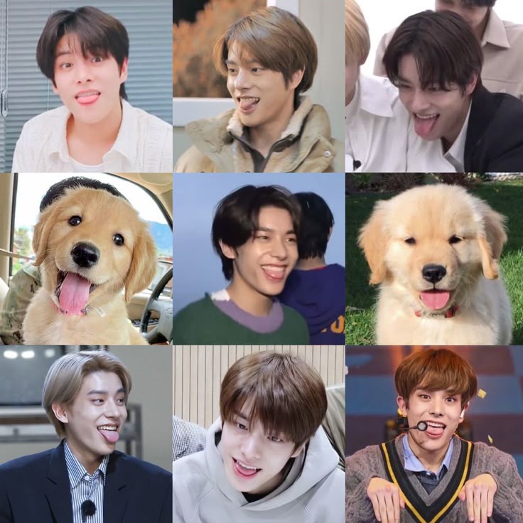 ˙✨️이크 bvnd🐺˙ tweet media