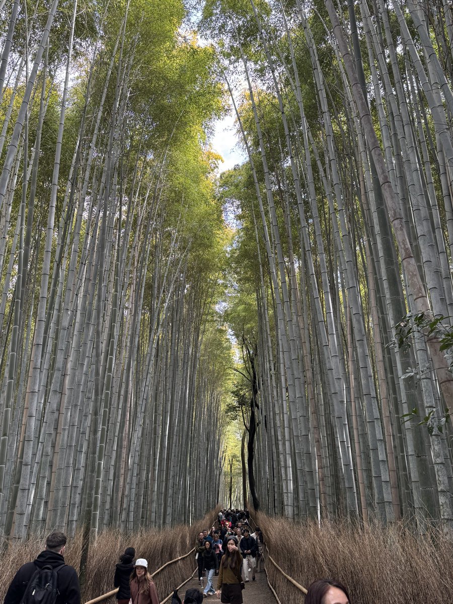 🇵🇼ユハチョルノニンニ軍大佐🇵🇼 tweet media