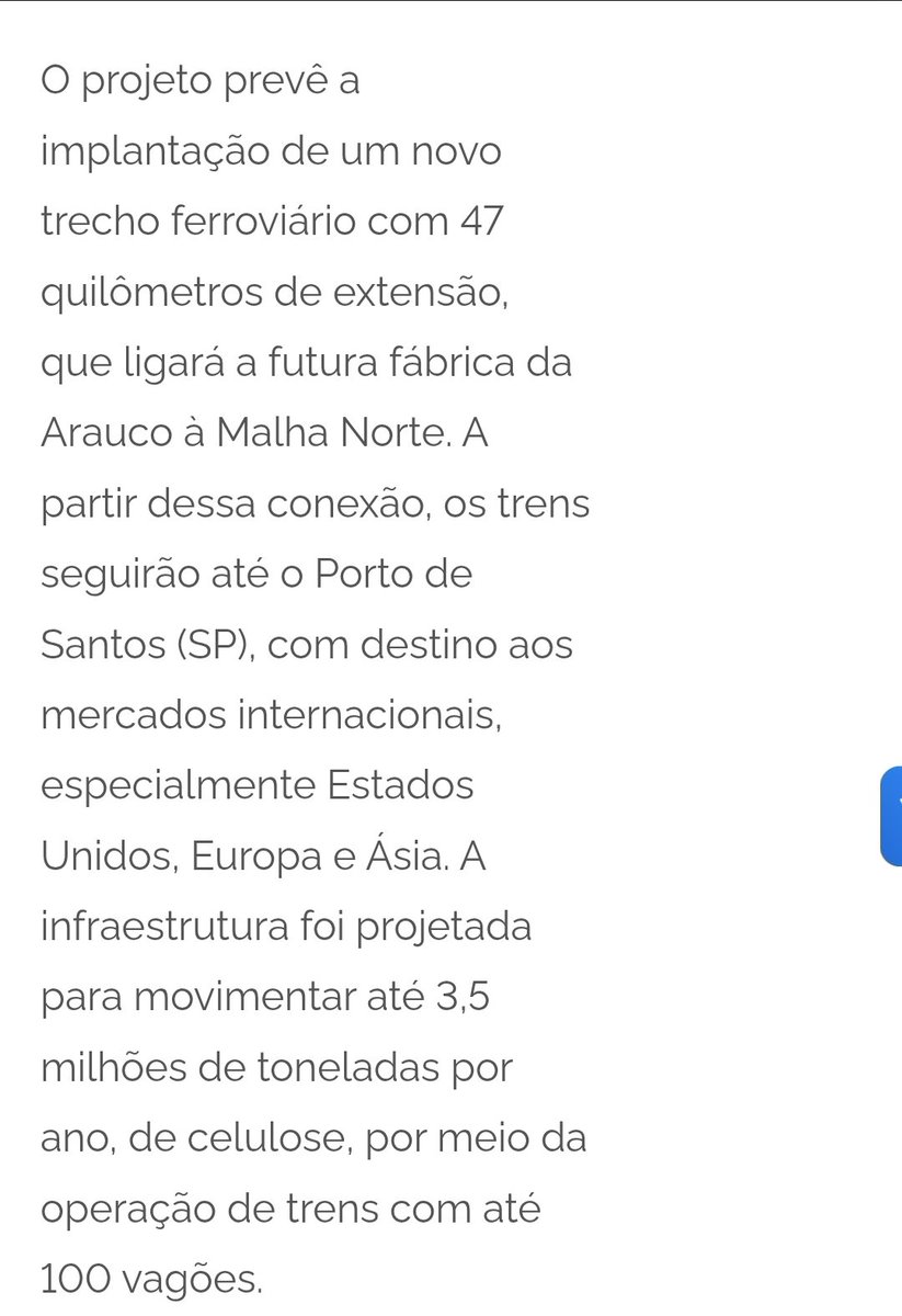 Lucia Guedes tweet media