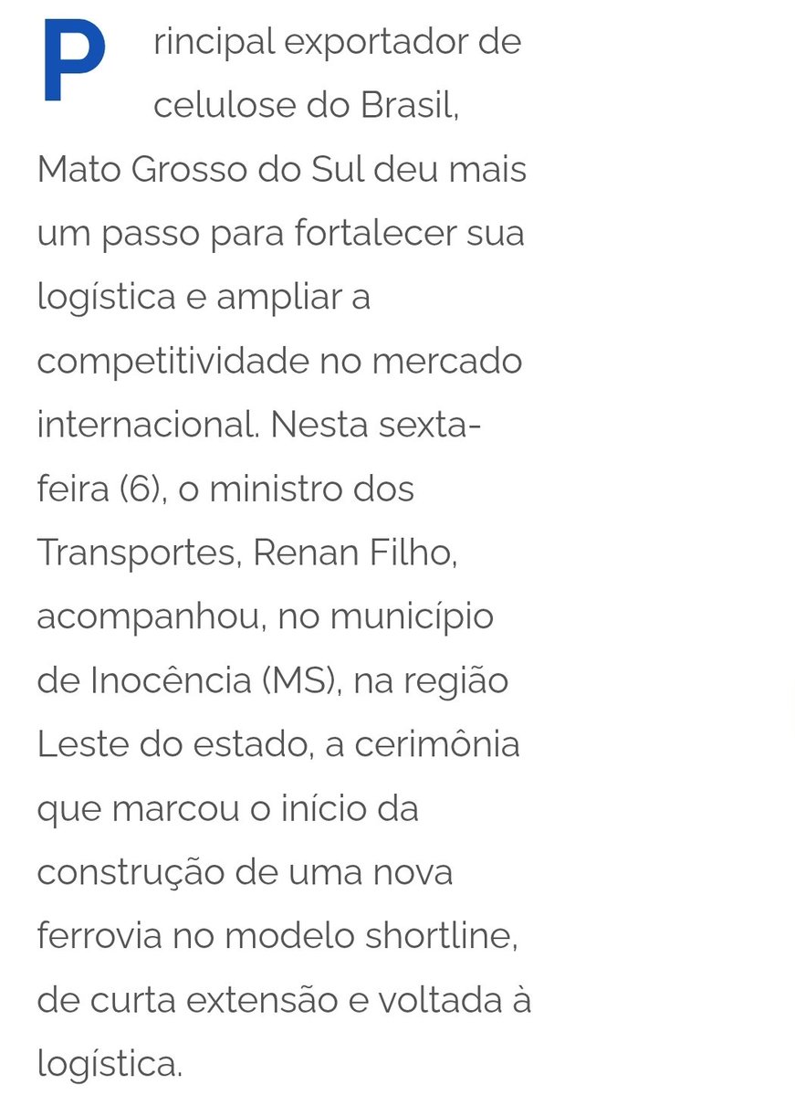 Lucia Guedes tweet media