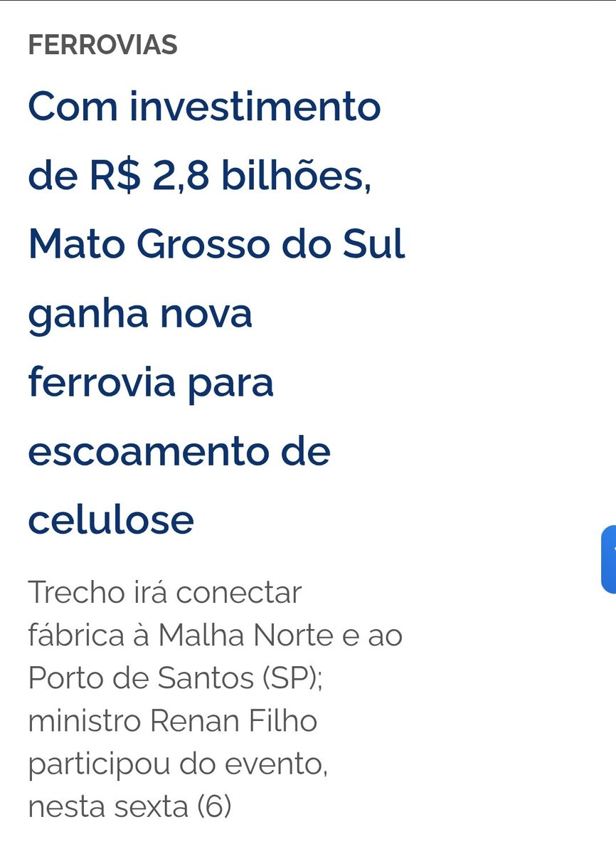 Lucia Guedes tweet media