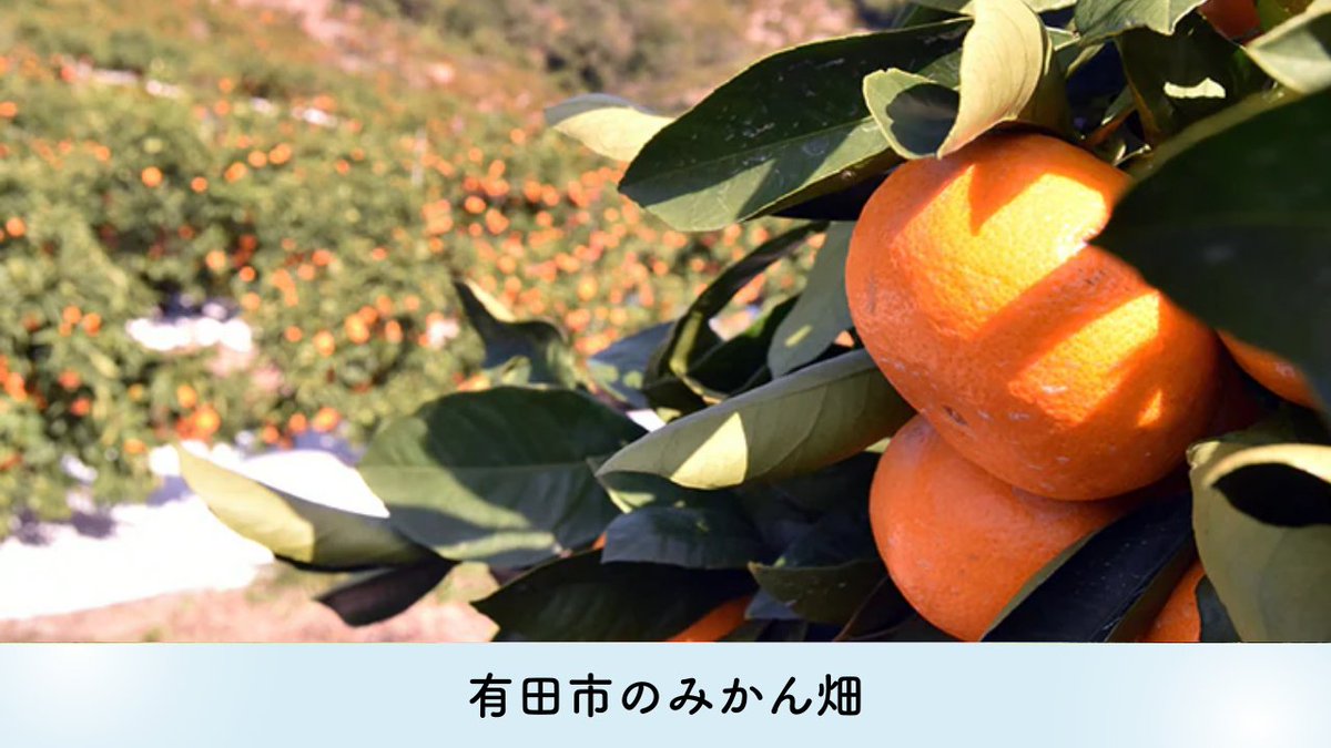 Daigasグループ通信 tweet media