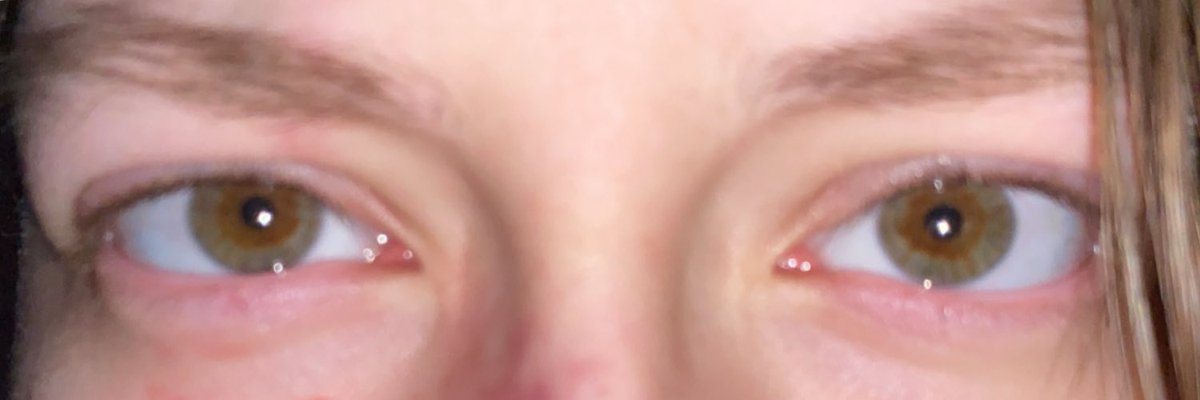 costan ⋆˚꩜.ᐟ tweet media