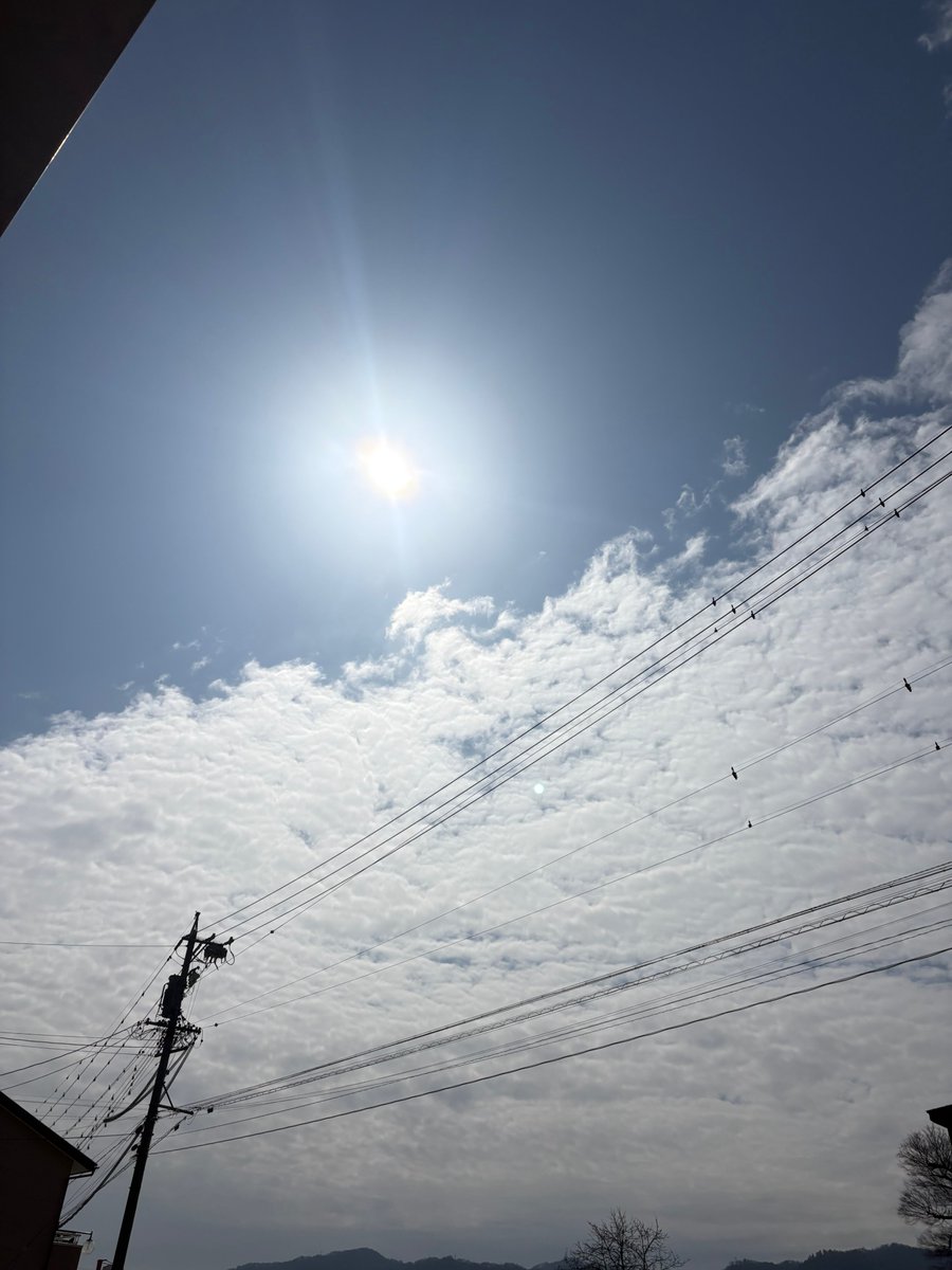 合同会社エースプランニング tweet media