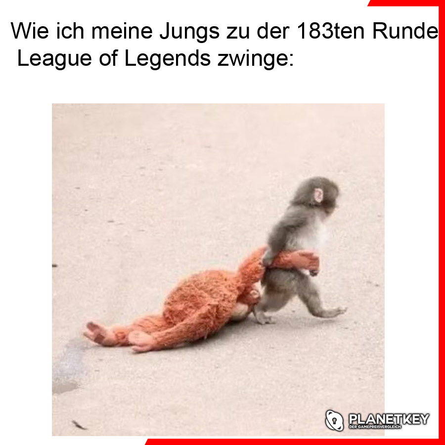 planetkey.de tweet media