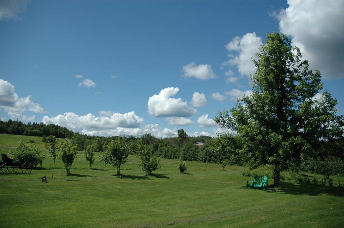 Wayne Goodfellow tweet media