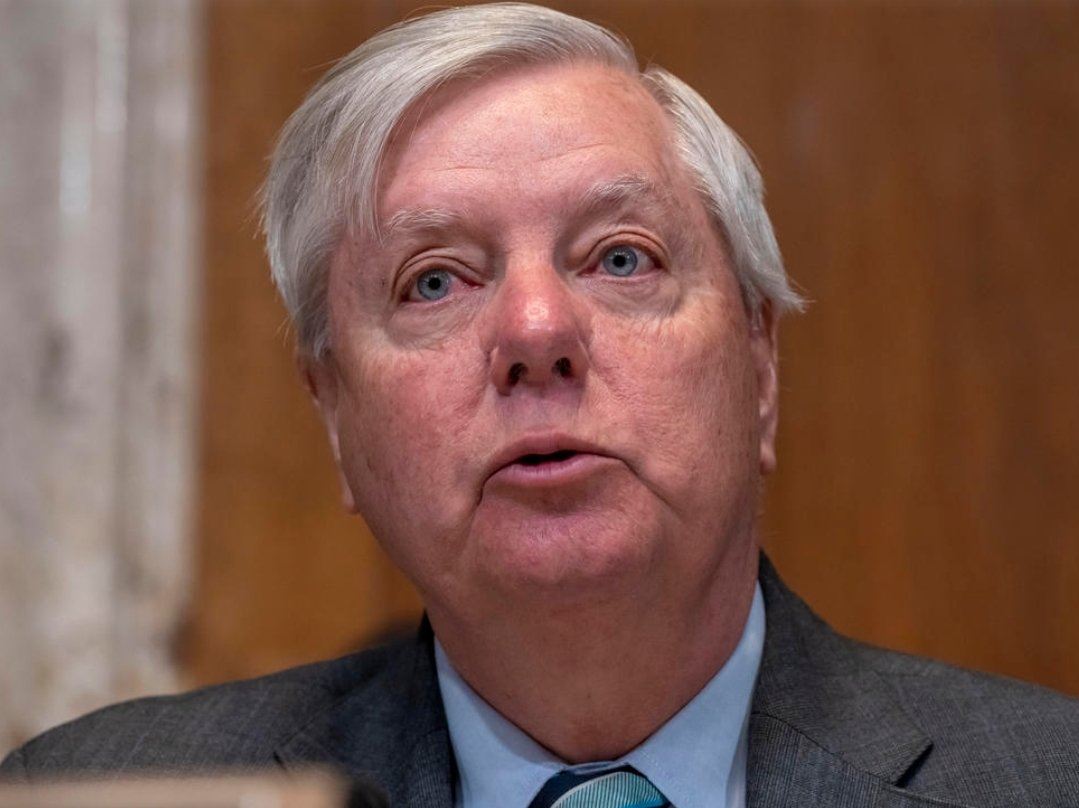 𝐃𝐔𝐓𝐂𝐇 tweet media