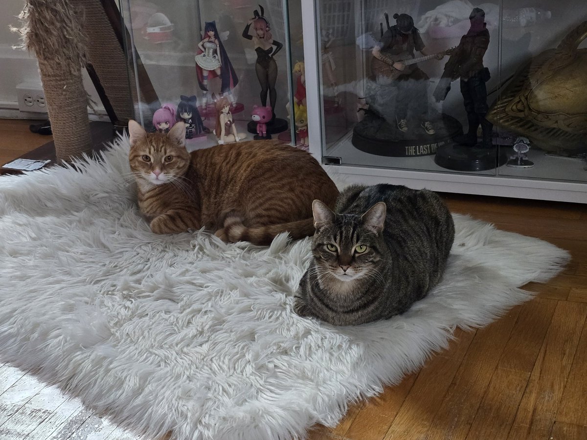 Emily 🪽 tweet media