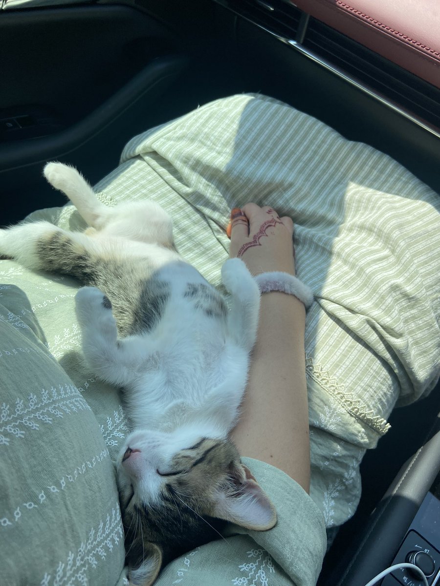 batik girl tweet media