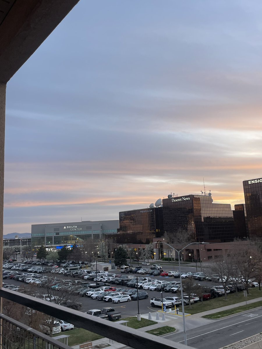 manders 🦎 tweet media