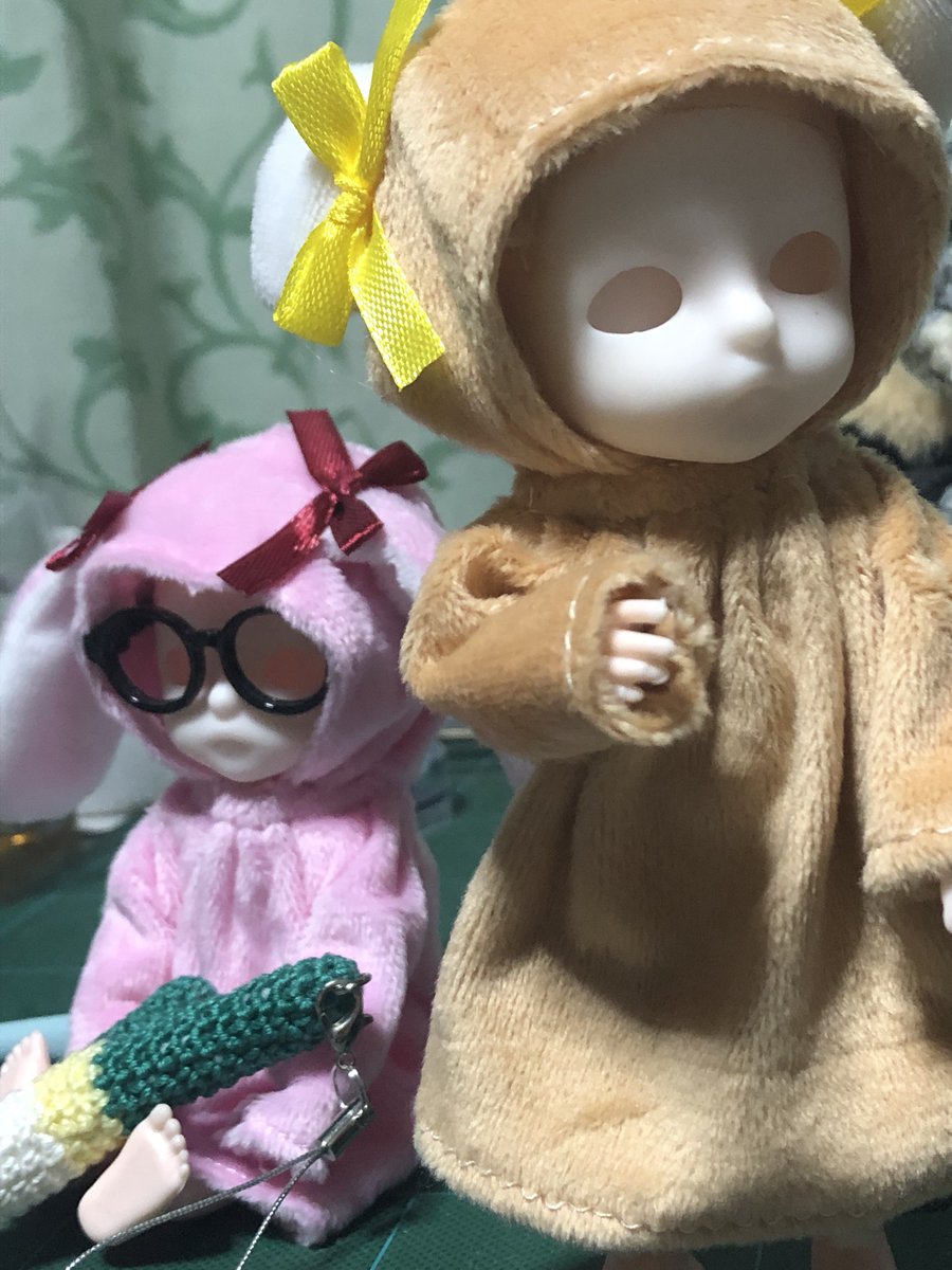 わんた🐾 tweet media