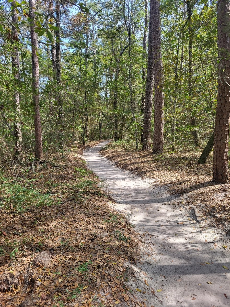 Dale Batko MBA M.Ed. 🇺🇸 tweet media