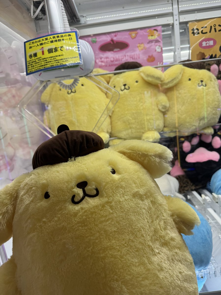 ことぶき🌸 tweet media