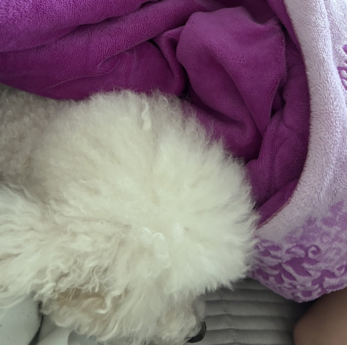 쫑이언니 tweet media