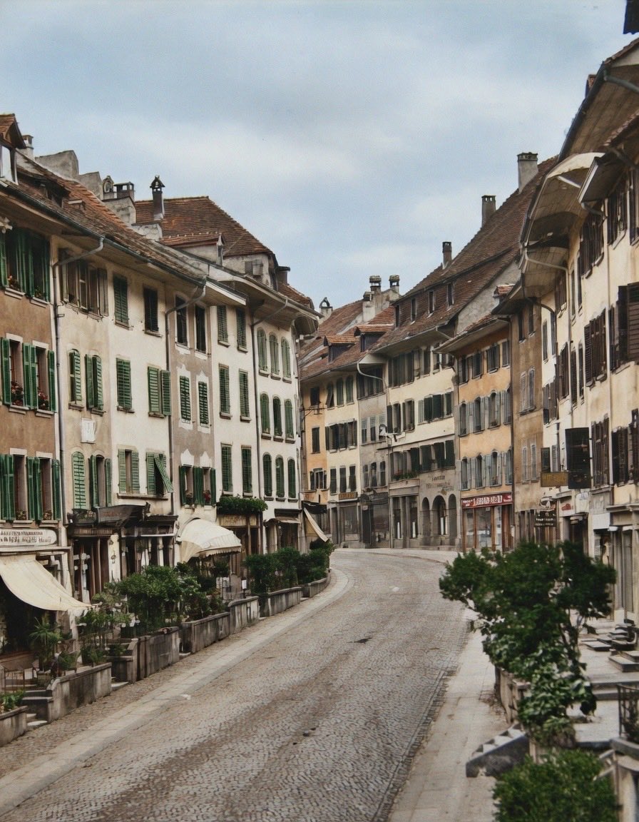 Agi Meier W. 🦉 tweet media