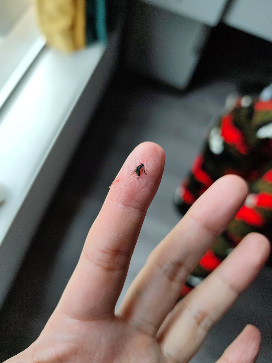 jameswhite tweet media