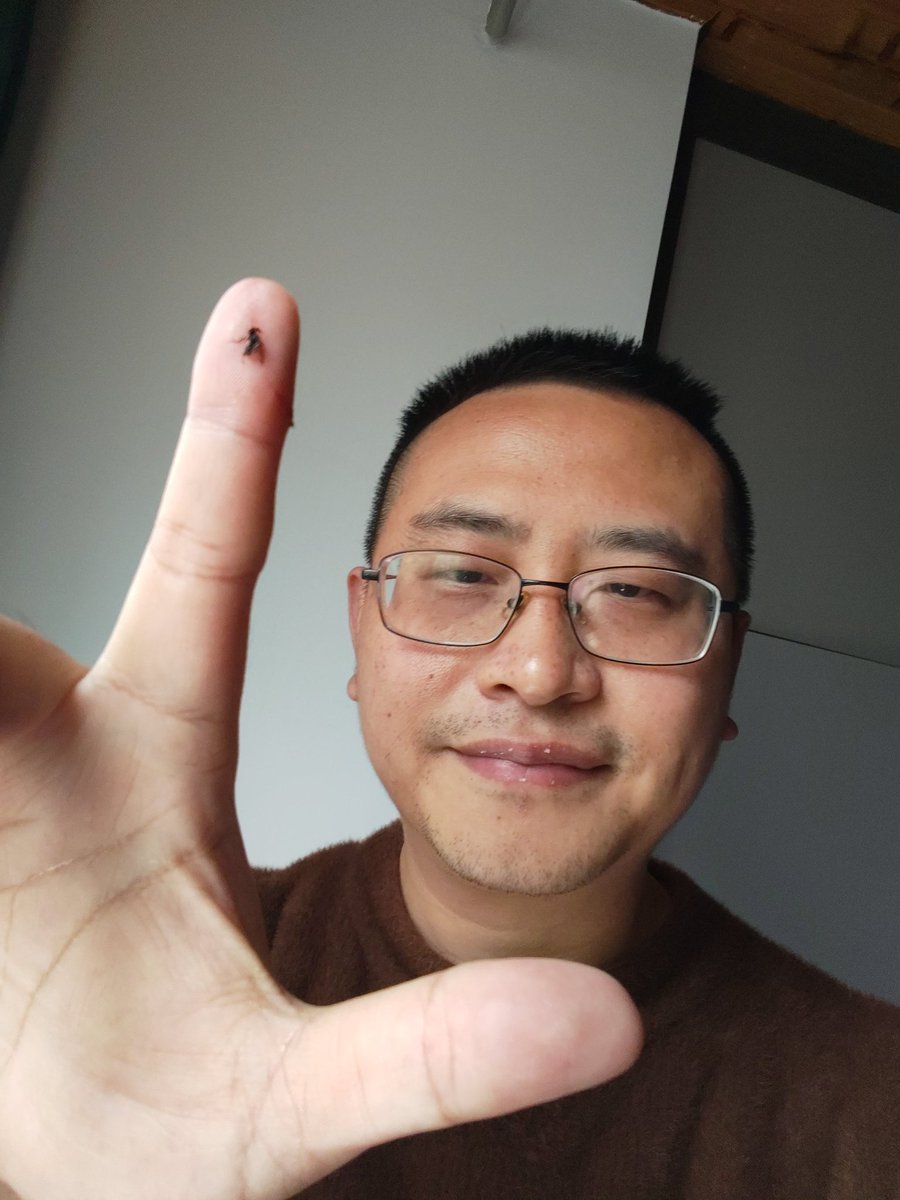 jameswhite tweet media