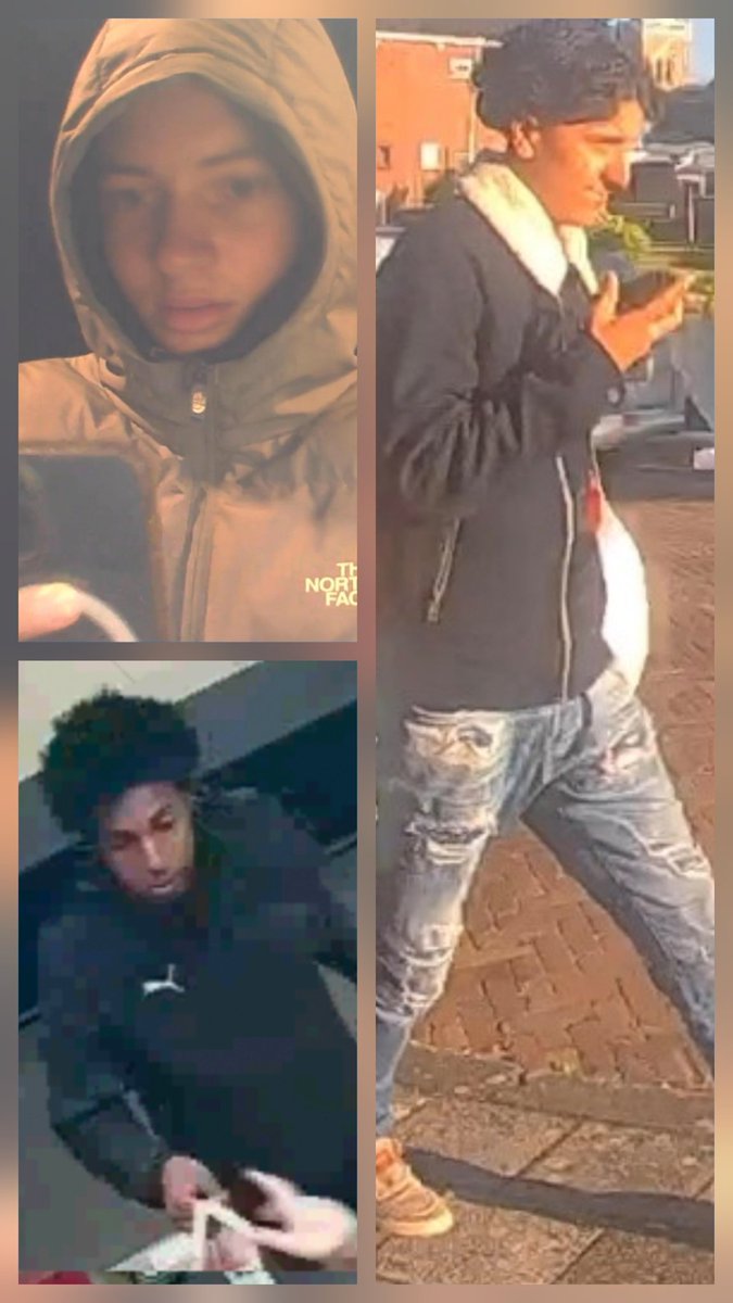 卄𝐎ù𝔰ε 𝐨𝔣 ℙｏє𝐌 _ tweet media