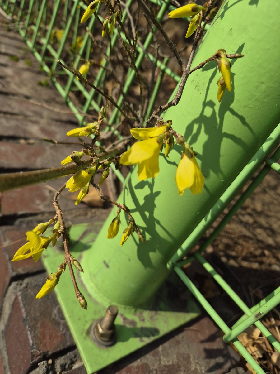 구름(3월26일까지 냥체 벌칙) tweet media