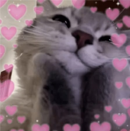 赵露思 Benar tweet media