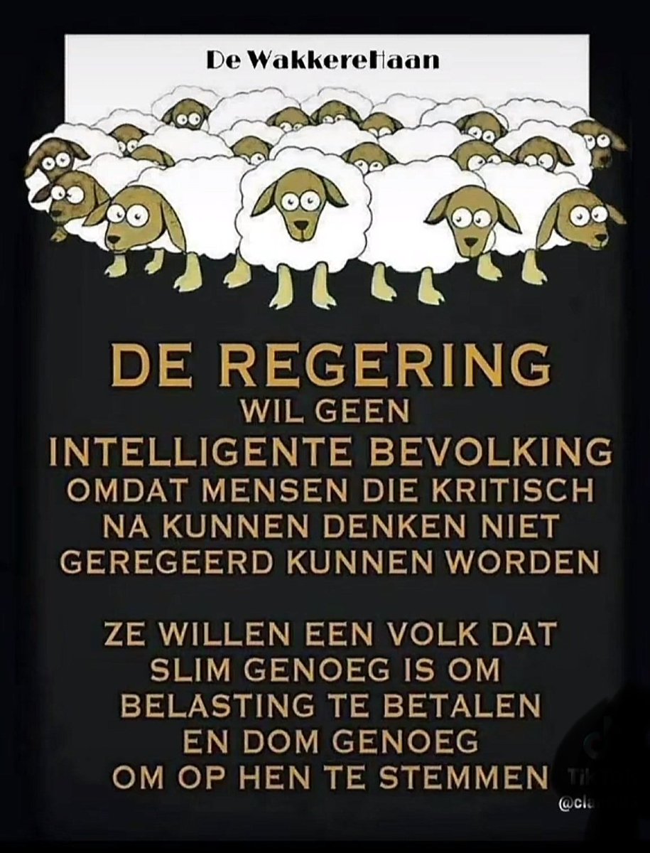 Kerr 🇳🇱 ❤️ tweet media