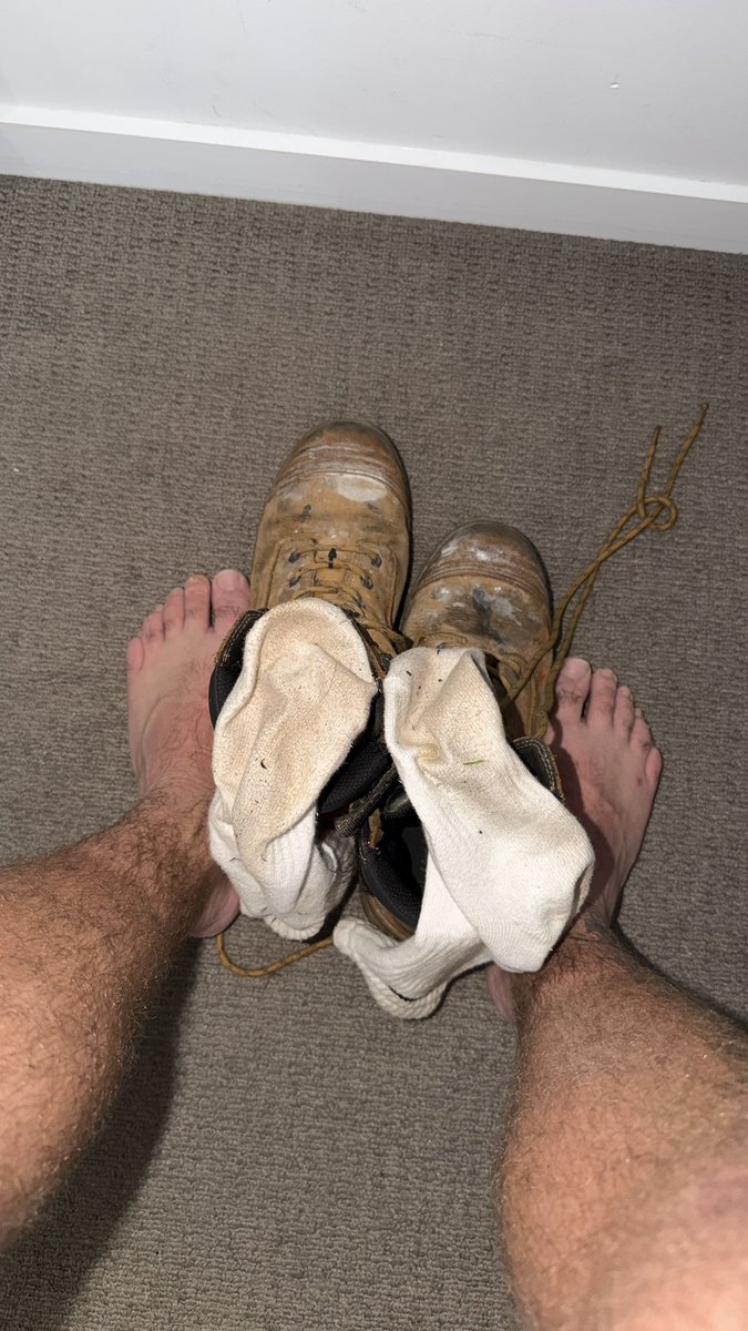 Alpha Scouse Master 🥾 tweet media