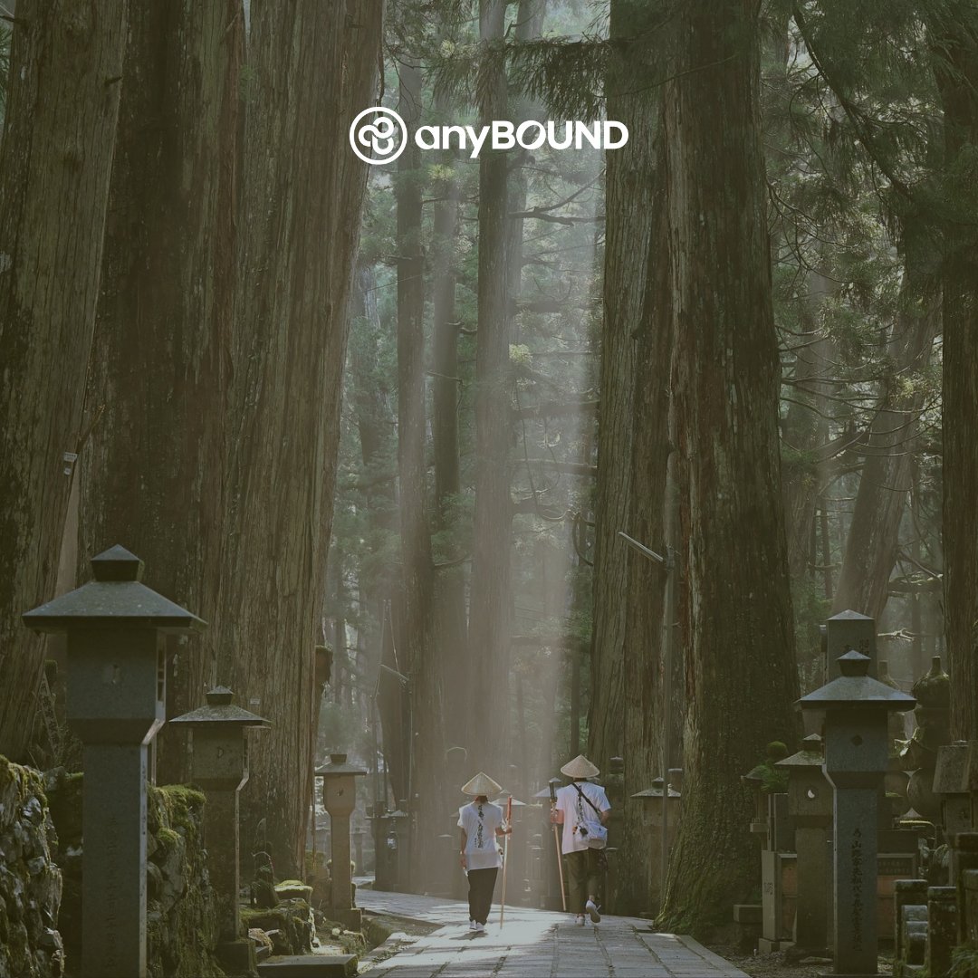 anyBOUND tweet media