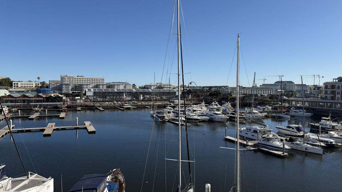 Peter Nicholson tweet media