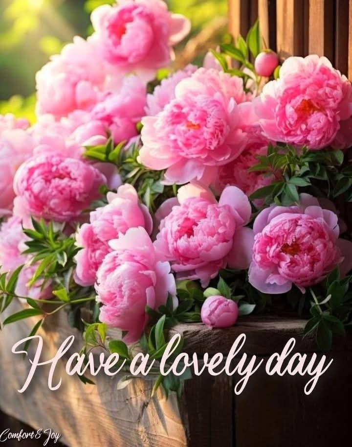 violetviolet tweet media