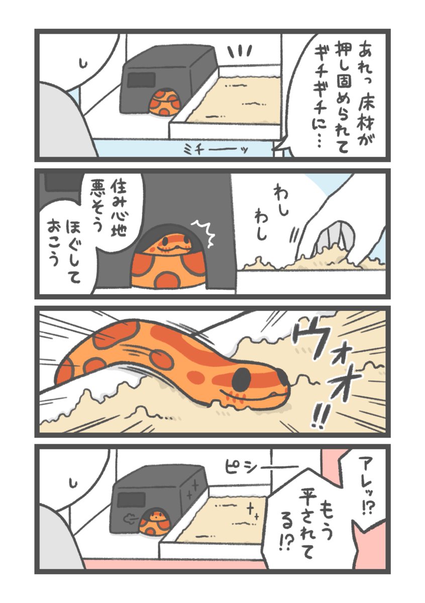 お祭り騒ぎ tweet media