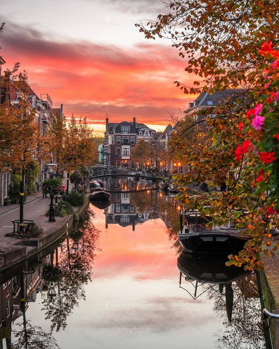Leiden Netherlands 🇳🇱