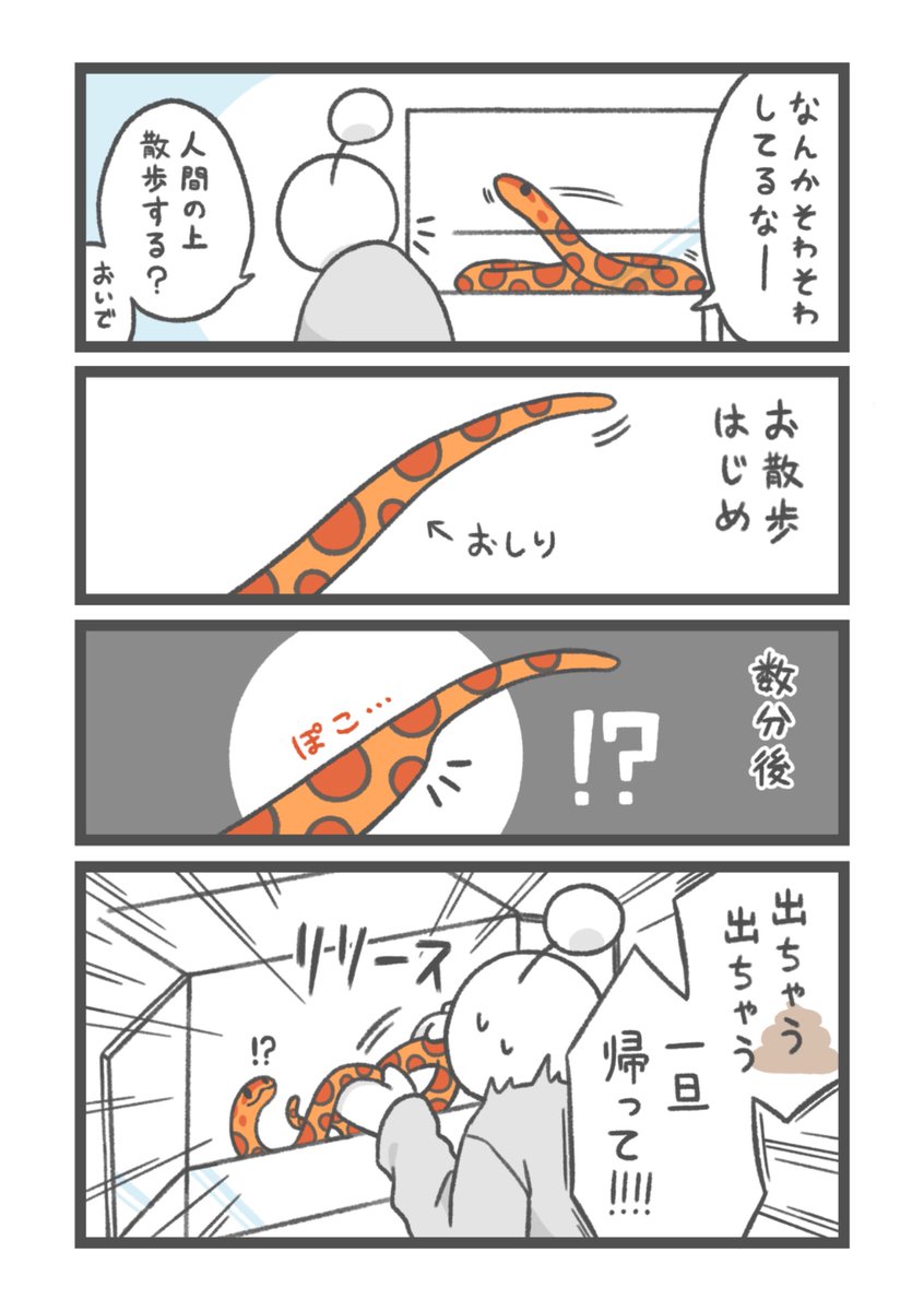 お祭り騒ぎ tweet media