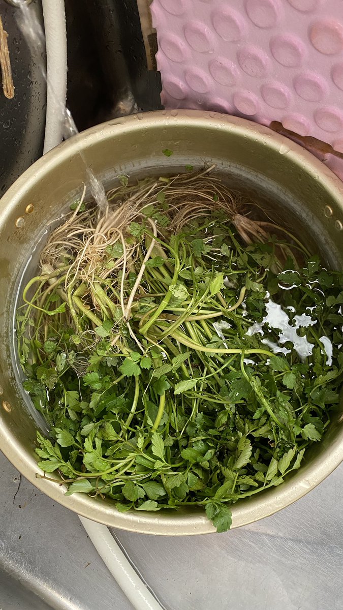 ショクモツレンサー tweet media