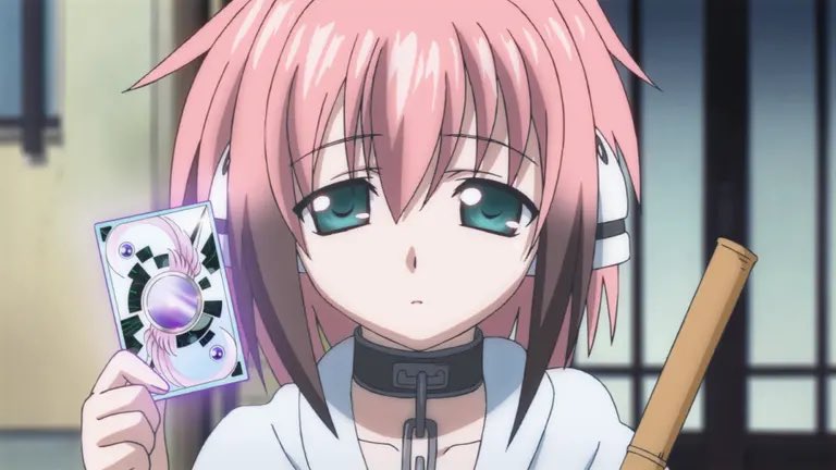 ゴマ/goma@本垢 tweet media