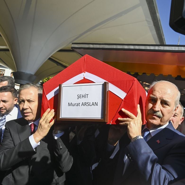 Bahadır Telci tweet media