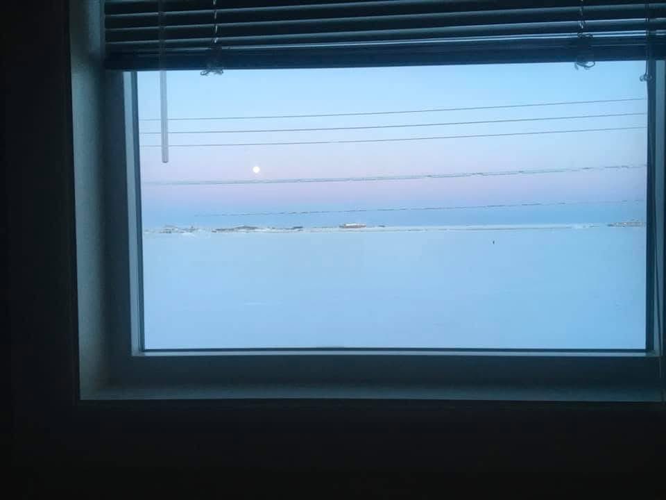 Lu for Alaska tweet media