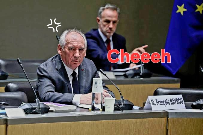 LLP_Le_Vrai's tweet photo. Le minable et pathétique #bayrou a perdu la mairie de Pau. Au moins une bonne nouvelle ce soir. #Cheeeh https://t.co/wdrGZRftTn