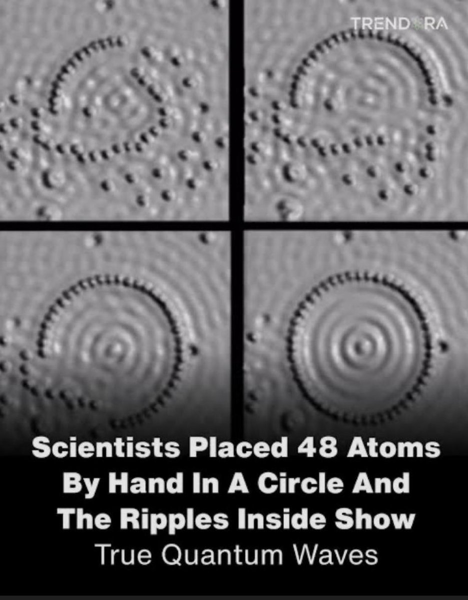 Science girl tweet media