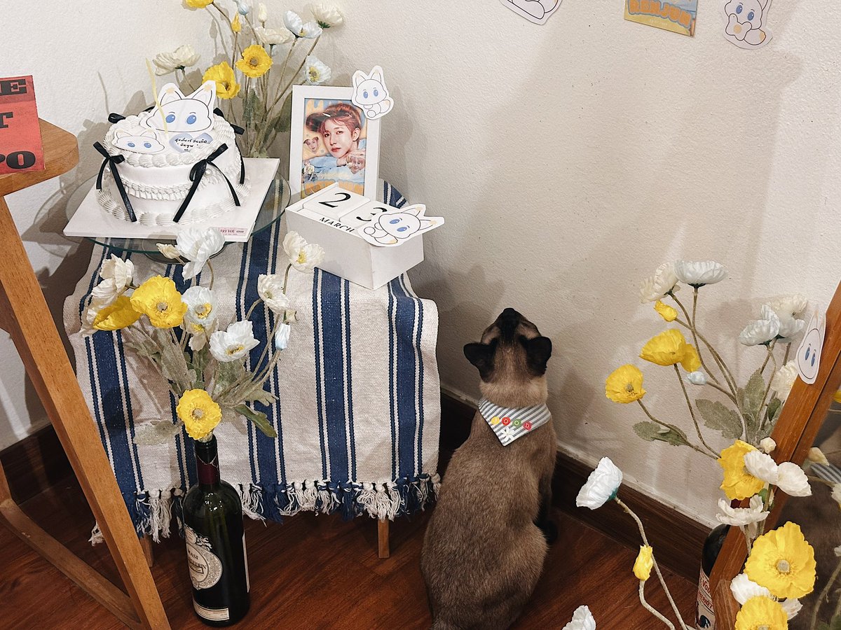 𝑺𝑨𝑴𝑨𝑵𝑵𝑨𝑪𝑯𝑨𝑵 𝑪𝑨𝑭𝑬’ 💙✨ tweet media