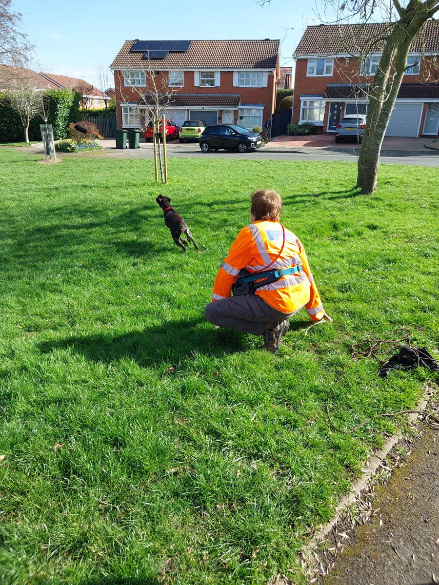 Warwickshire SAR tweet media