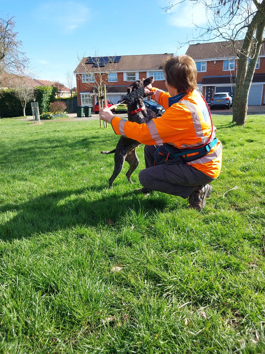 Warwickshire SAR tweet media