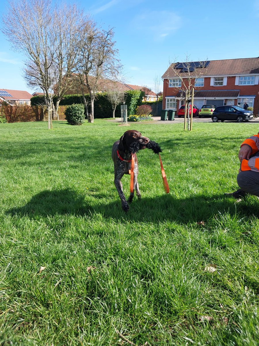 Warwickshire SAR tweet media