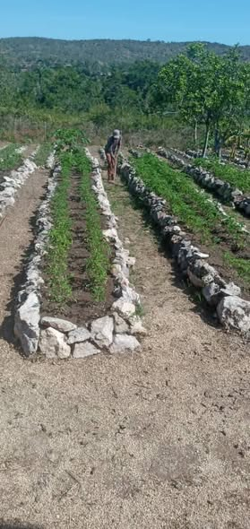 La  UEB de Asfalto de la #ECOI17 dando cumplimiento a uno de los objetivos  de trabajo para este 2026 relacionado con la soberanía alimentaria.  <a href="/ecoi17/">Ecoi17</a> #ViabilizandoSuFuturo