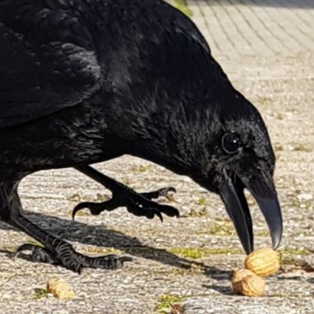 Luna2023 tweet media